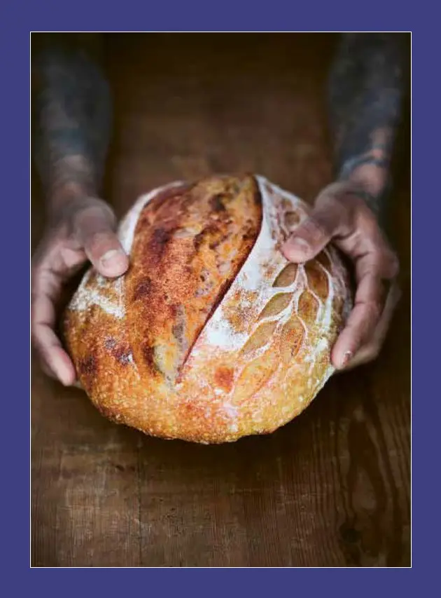 Insidesbild ur boken: Surdeg
