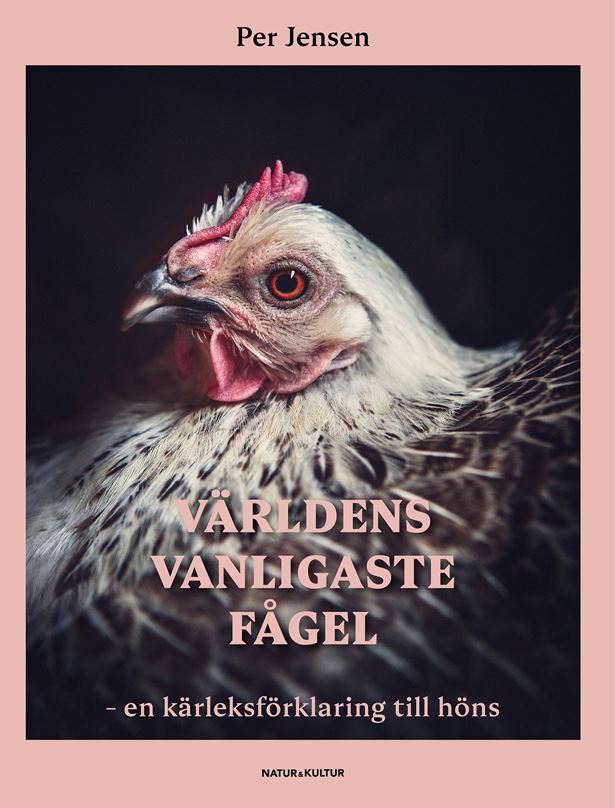 Bok: Världens vanligaste fågel.