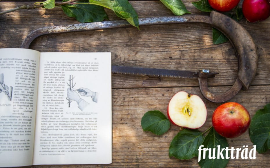 Insidesbild ur boken: Konsten att beskära