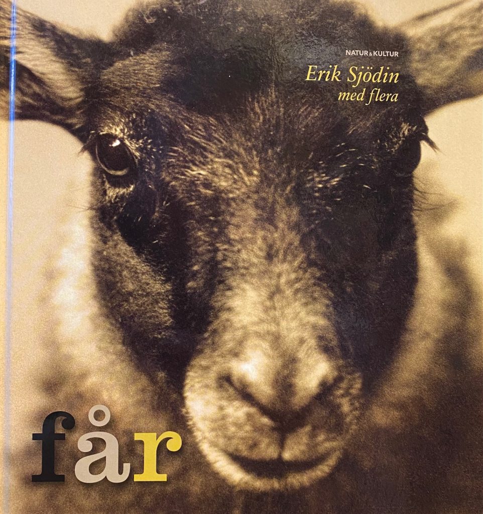 Bok: Får.
