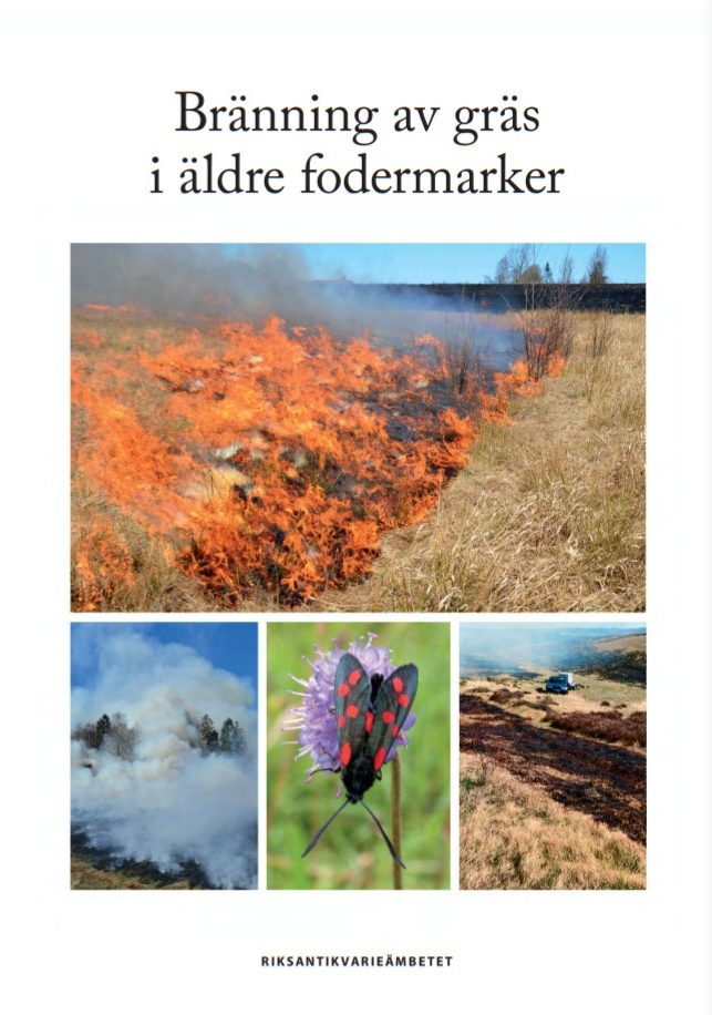 Bok: Bränning av gräs.