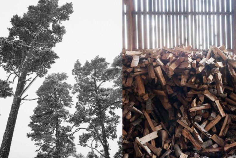 Insidesbild ur boken Bastu.