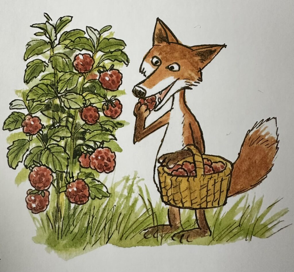 Insidesbild ur boken: Året runt med Pettson och Findus