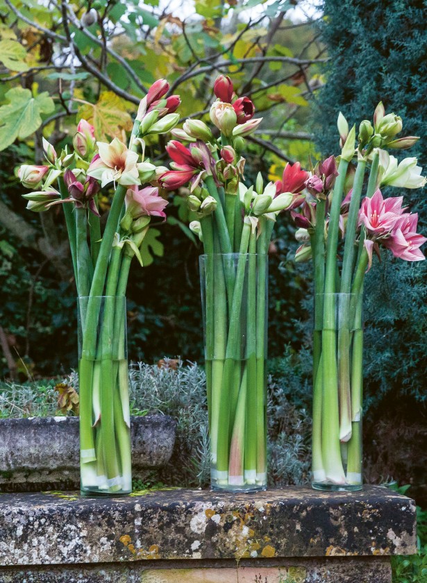 Insidesbild ur boken: Karl Fredrik : vinterns vackra och goda