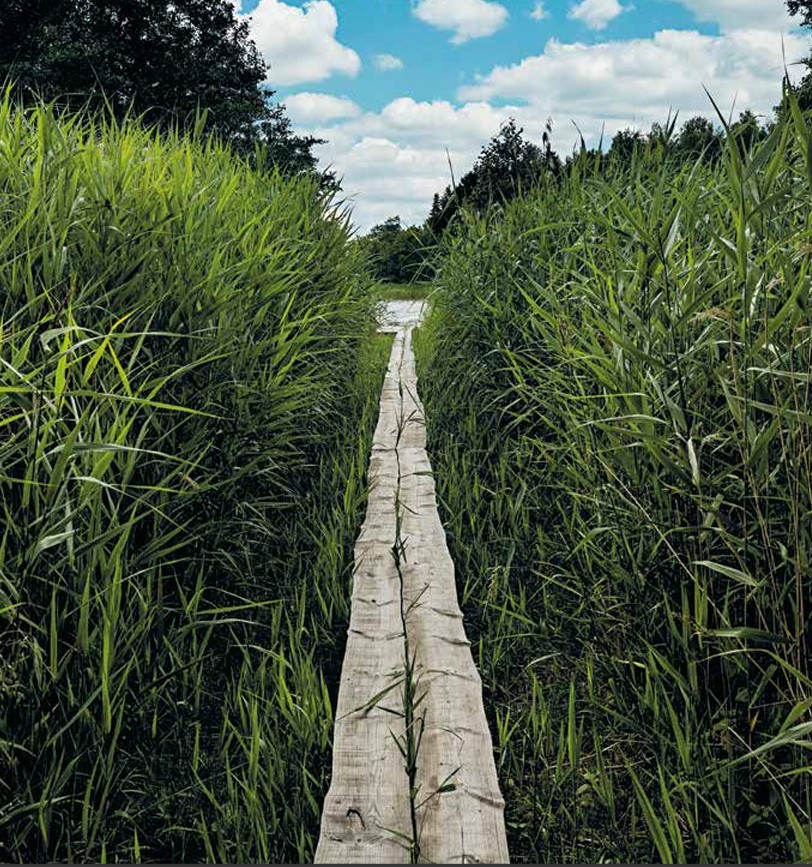 Insidesbild ur boken: Bygga bastu