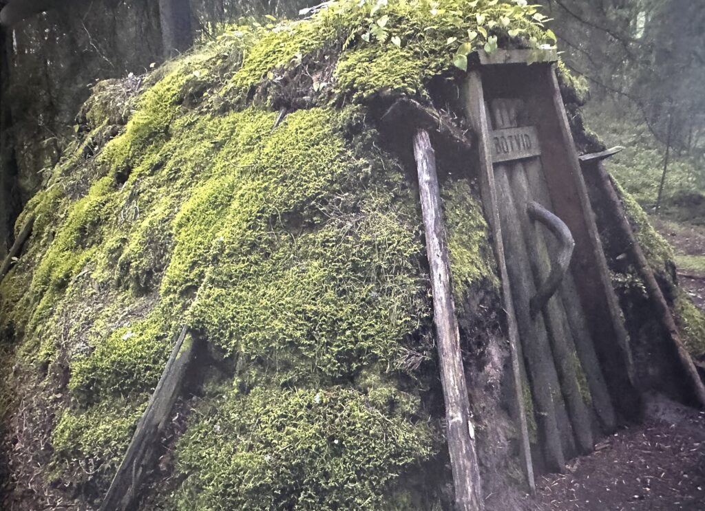 Insidesbild ur boken: Där eldarna dånade