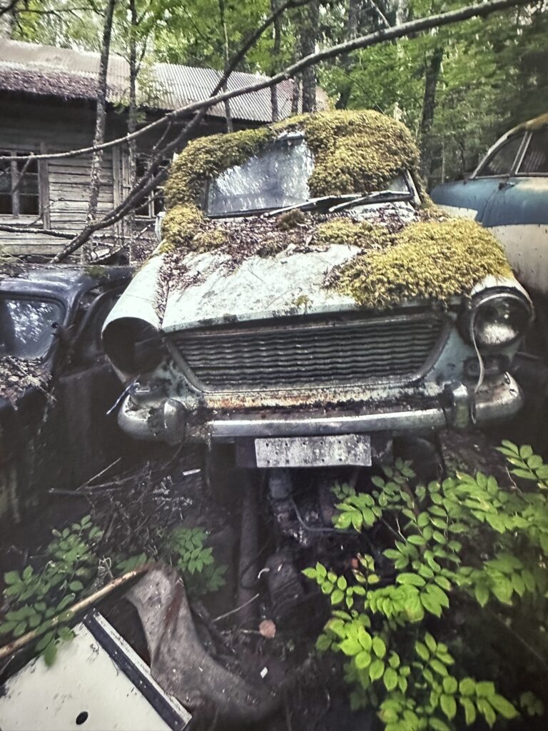 Insidesbild ur boken: Bortglömda platser