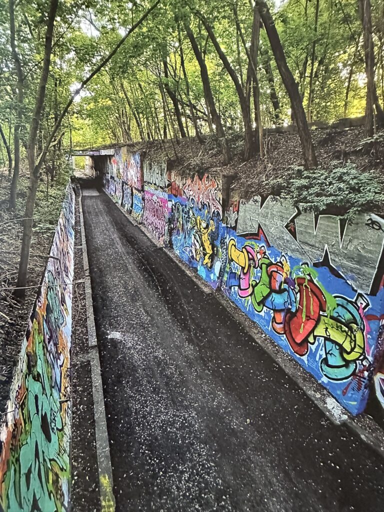 Insidesbild ur boken: Bortglömda platser