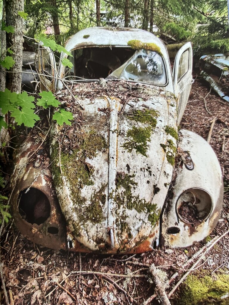 Insidesbild ur boken: Bortglömda platser