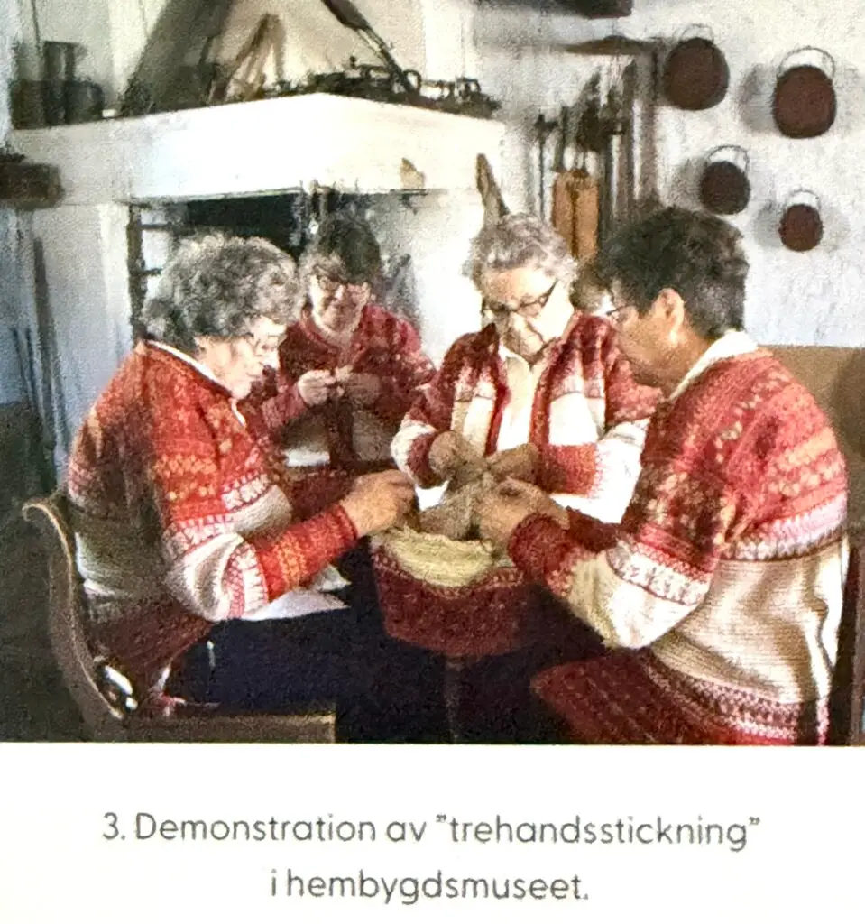 Insidesbild ur boken: Korsnäströjan
