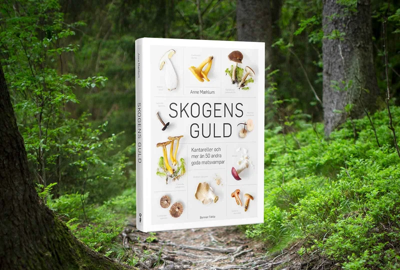 Skogens guld