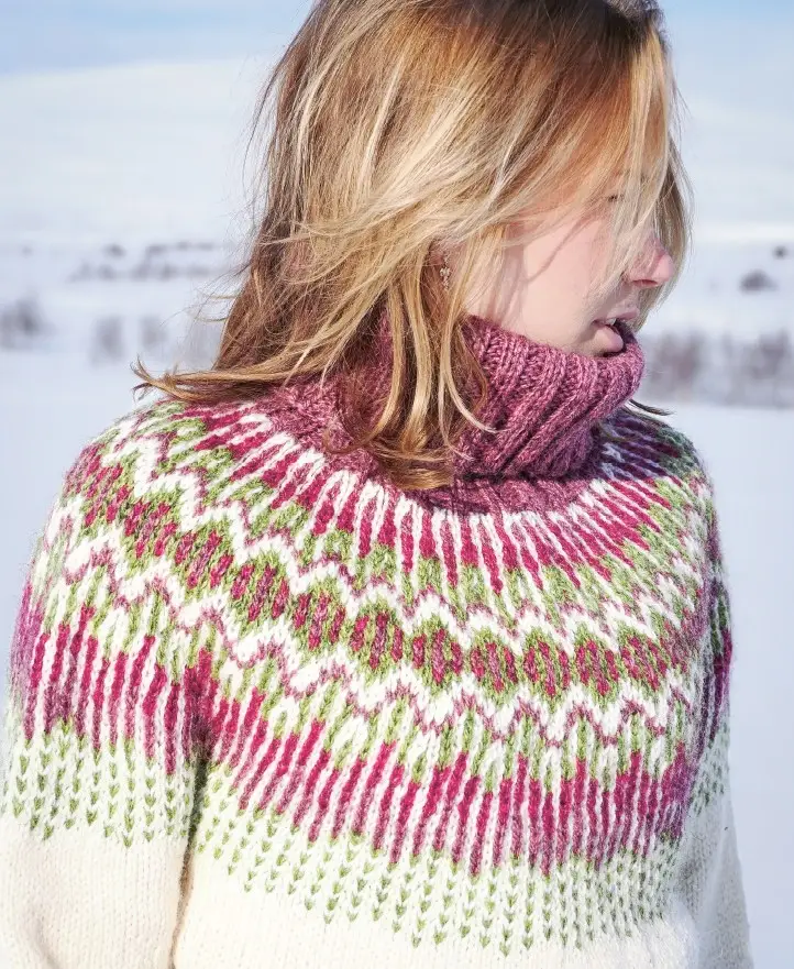 Insidesbild ur boken: Sticka Sápmi