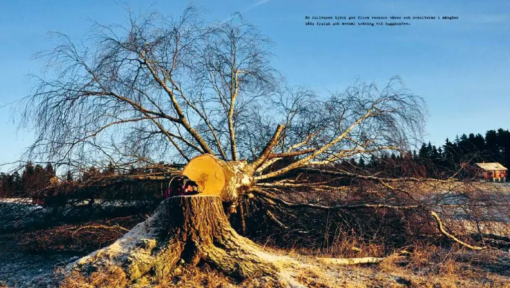 Insidesbild ur boken: Ved. Foto: Lars Mytting