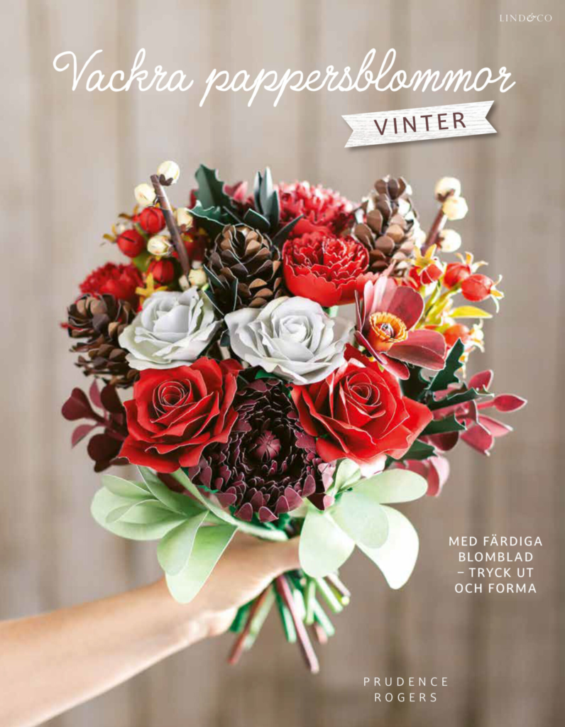 Vackra pappersblommor Vinter