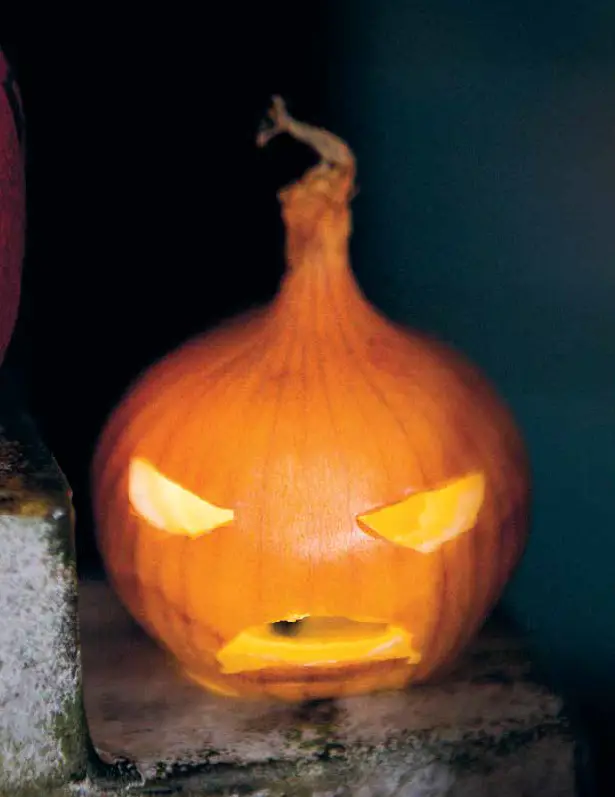 Insidesbild ur boken: Handgjord högtid